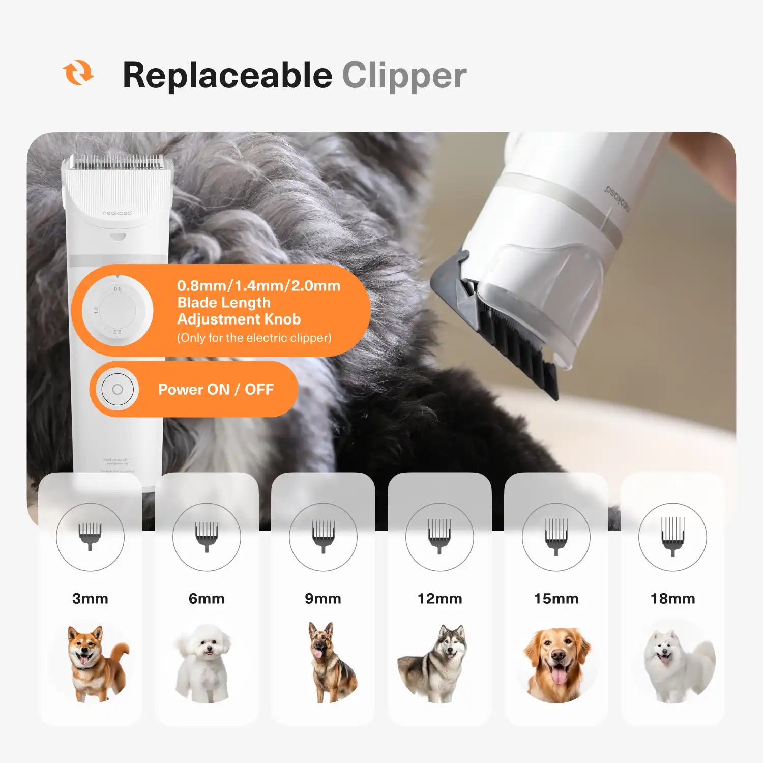 replaceable clipper